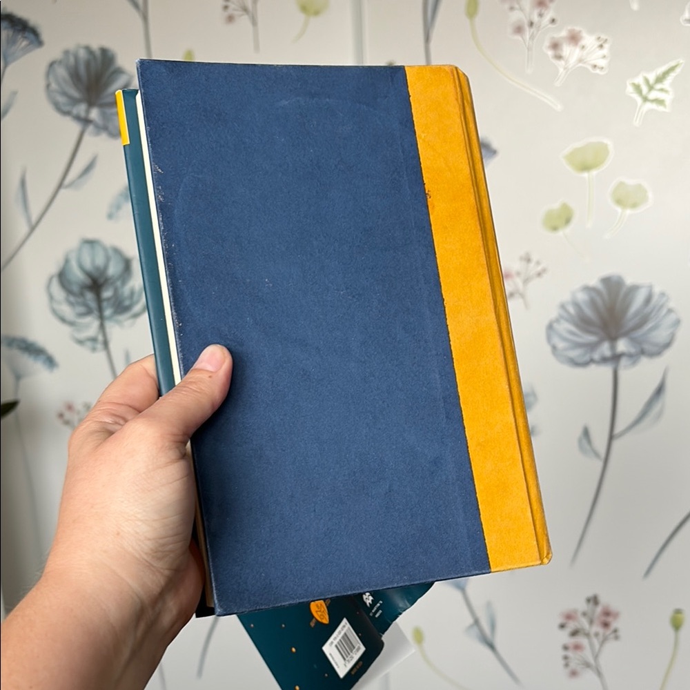 'Other Birds' Novel - Blue Cover Book of the month - Picture 5 of 5